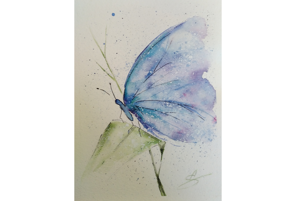 peinture de papillon